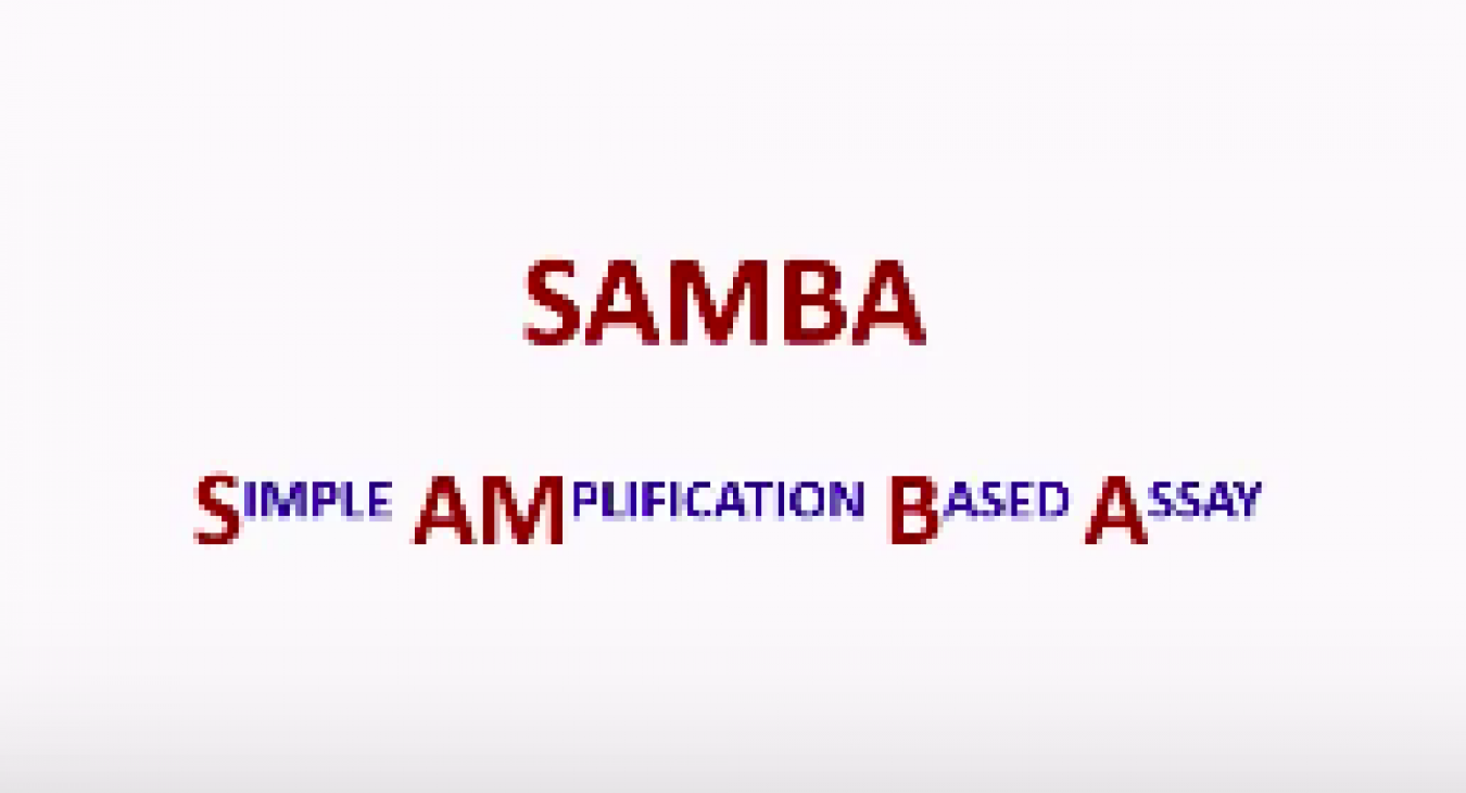 Simple Amplification Based Assay (SAMBA) Webinar (Sept. 2015)