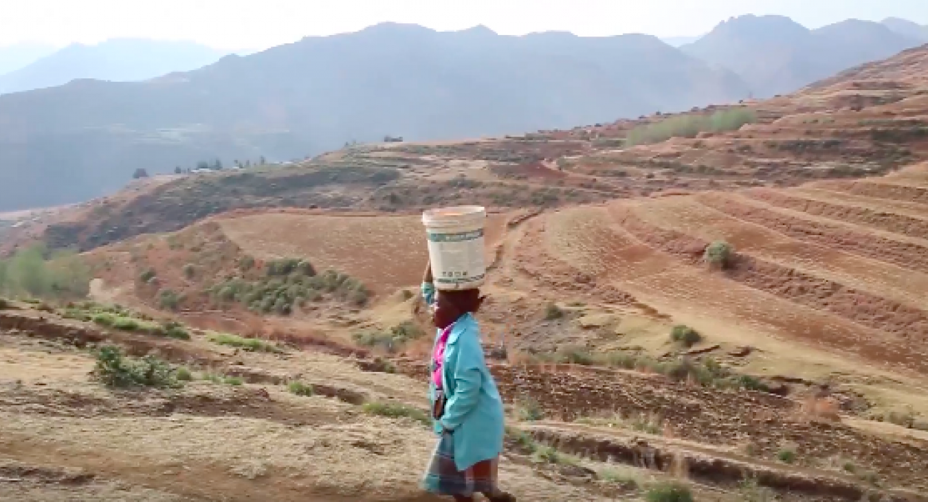 Image of video for Lesotho: Integration of services into one stop shops