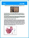 HIV in the Context of El Niño in Southern Africa cover