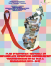 Madagascar: Plan Strategique National De Reponse Aux Infections Sexuellement Transmissibles Et Au Sida (2013-2017)