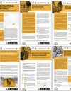 Covers of the 6 evidence-to-action briefs.