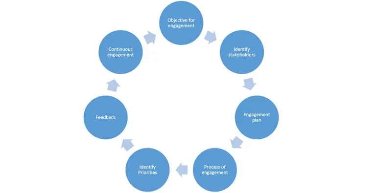 graphic of the stakeholder proces
