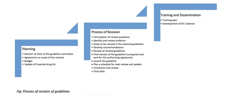Process of revision of guidelines graphi 